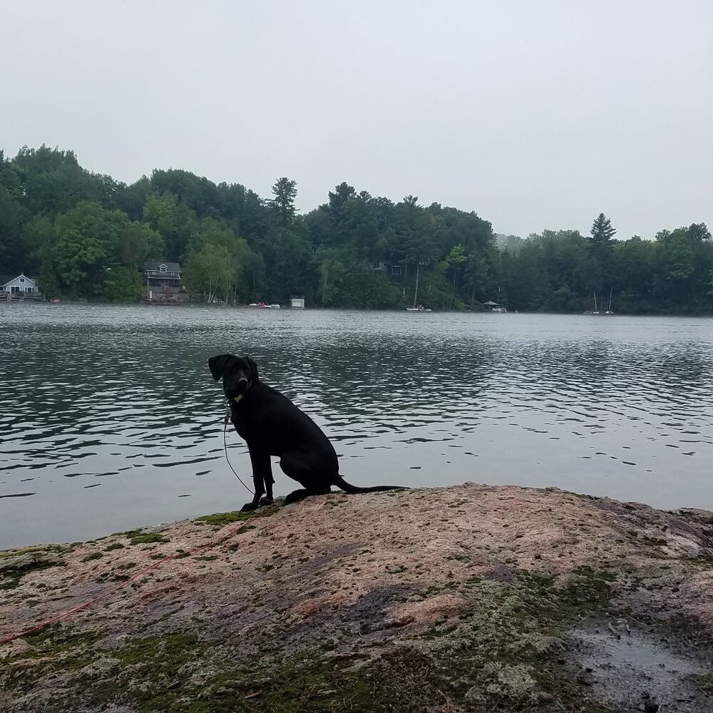 Meet your Posher, Victoria